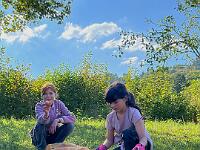 img 2774-bright-sat-contrast ownzuipl 1