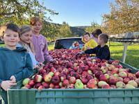 img 2795-bright-sat-contrast 683gmtzs 1