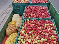 jyqa1219-bright-sat-contrast m8pdyj2z 1