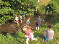 mainau 09.07.2013 067 : mainau 09.07.2013