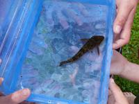 2010-7-16-17 Kids-Aktiv 067